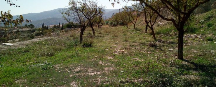 Land in Cela, Lucar, Almeria